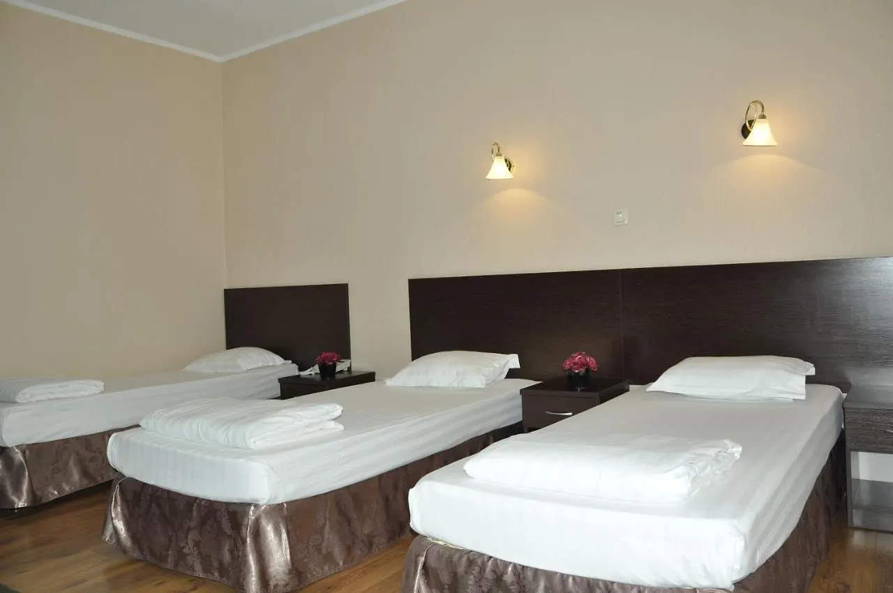 Hotel Sultan Beibarys Astana 3*,